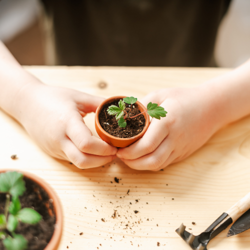 GARDENING CIRCLES